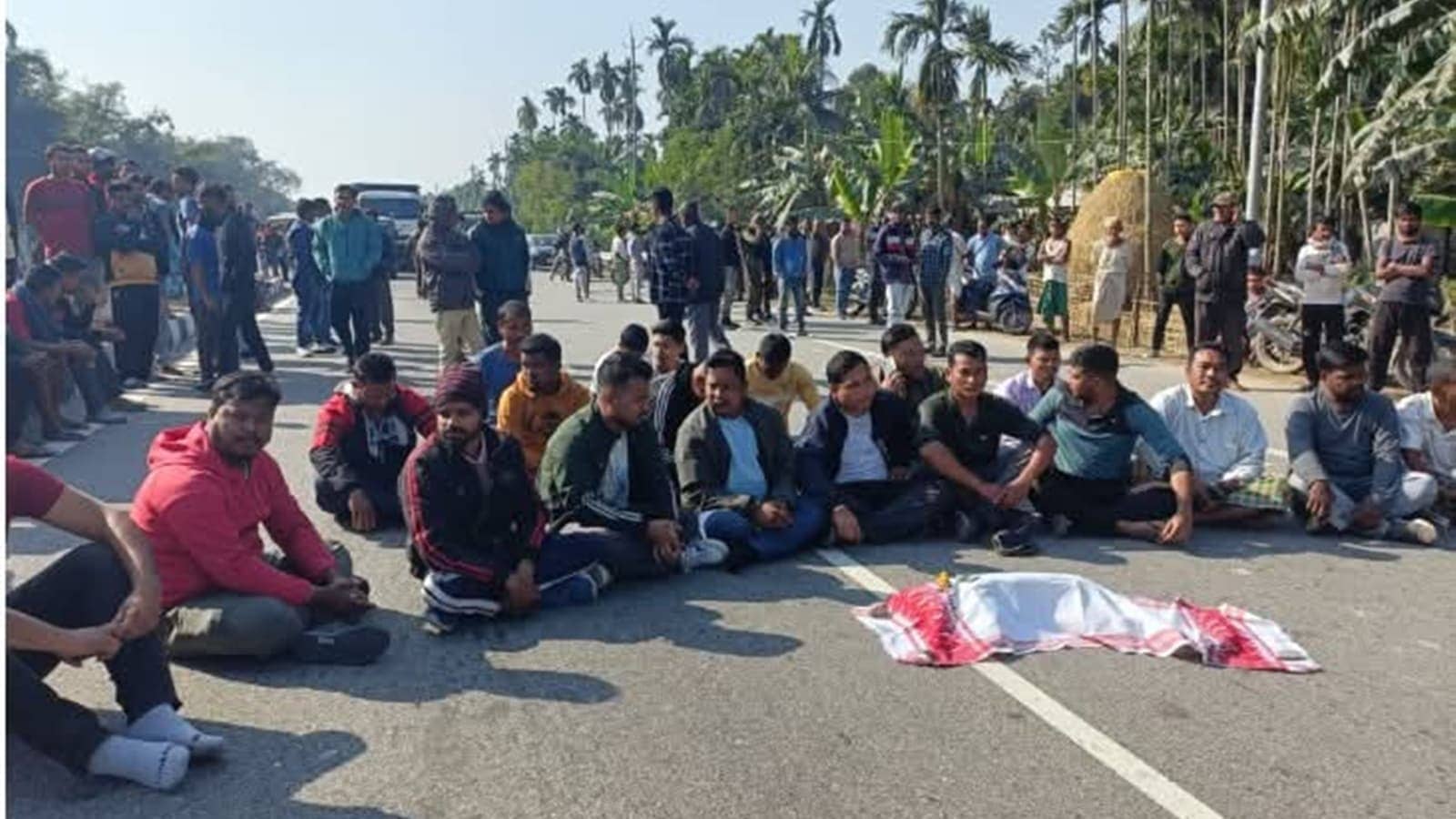 In Assam, a highway death puts spotlight on an uncommon victim – a golden langur | North East India News