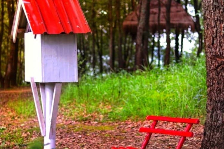 This Free Mini-Library of Manipur is Loaded with Cuteness